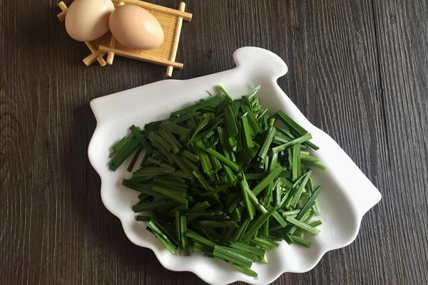 韭菜为什么补肾