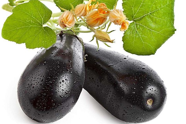 茄子可以生吃吗