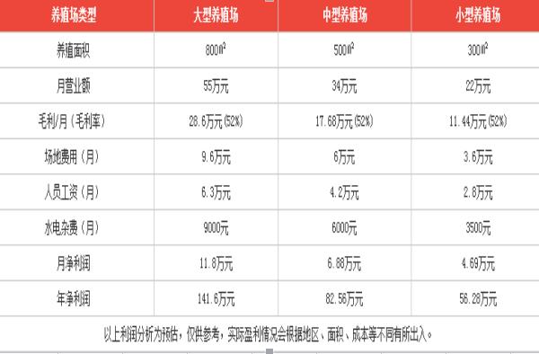 2018养河豚赚钱吗?河豚养殖的利润与投资成本及前景预测