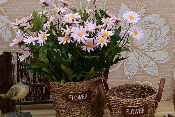 十一种加工项目 不愁销路