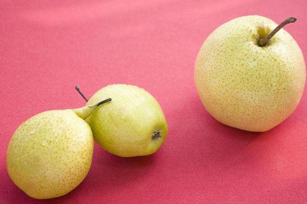 贡梨和酥梨的区别是什么