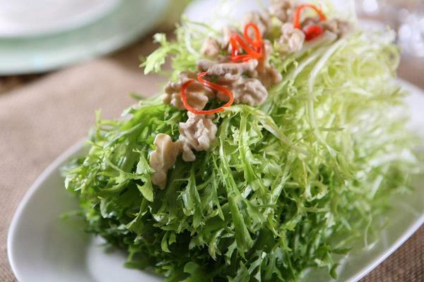 苦菊是什么?怎么种植?