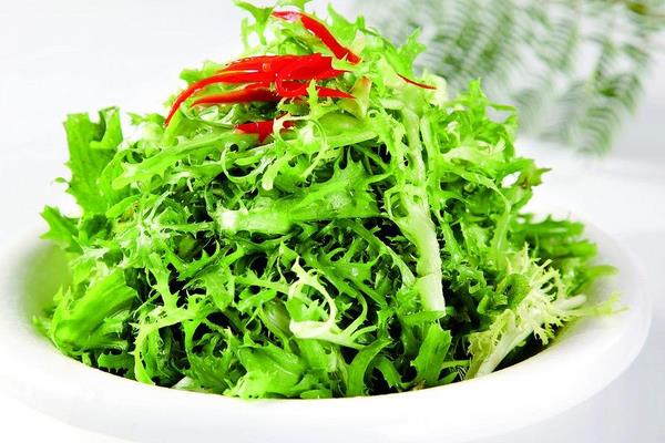 苦菊是什么?怎么种植?