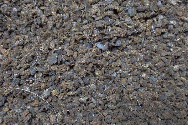 养羊有很多羊粪，是不是可以利用起来？