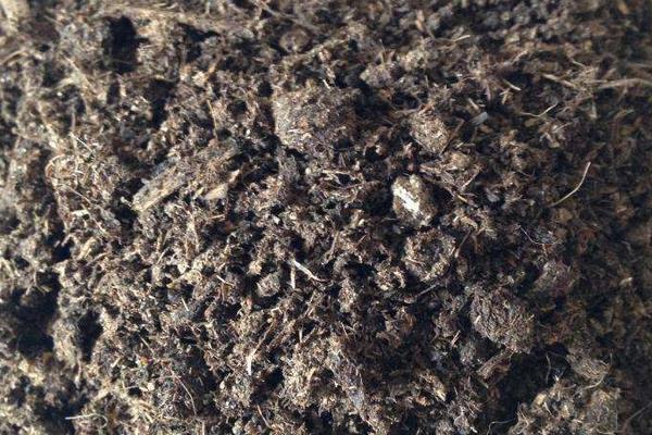 养羊有很多羊粪，是不是可以利用起来？