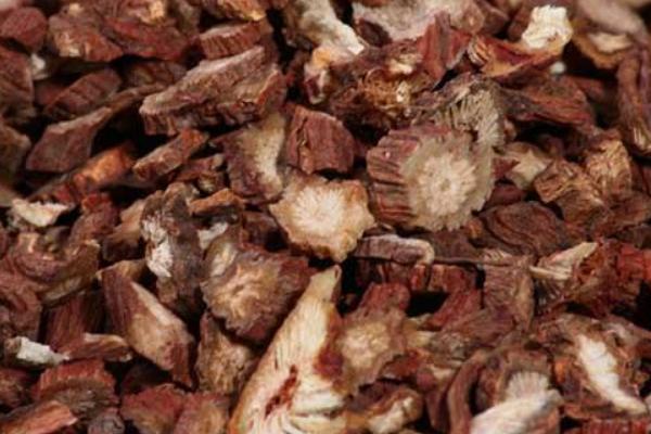 2018种丹参赚钱吗?丹参种植的利润与投资成本及前景预测