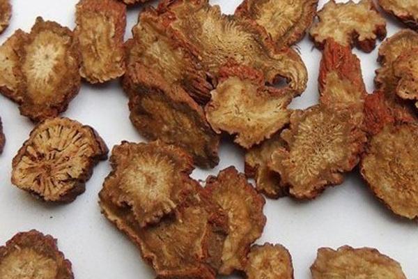 2018种丹参赚钱吗?丹参种植的利润与投资成本及前景预测