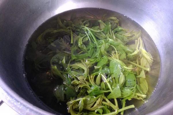 香椿炒鸡蛋的做法大全