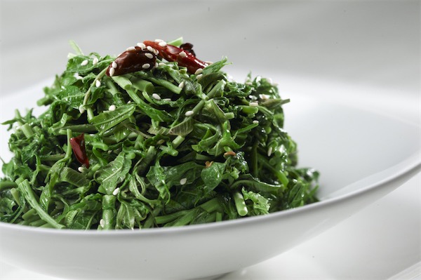 香椿苗种植方法