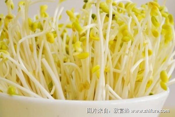 2018种豆芽赚钱吗？豆芽种植的利润与投资成本及前景预测