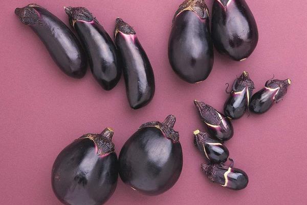 茄子的做法大全