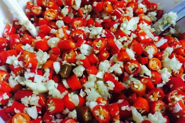 小辣椒怎么腌制