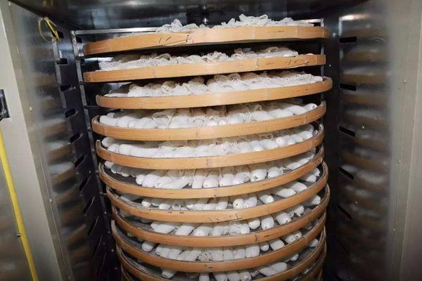 2018种竹荪赚钱吗?竹荪种植的利润与投资成本及前景预测