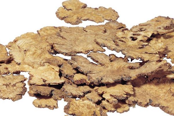 2018种茯苓赚钱吗?茯苓种植的利润与投资成本及前景预测