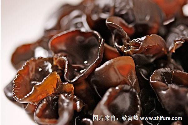 2018种黑木耳赚钱吗?黑木耳种植的利润与投资成本及前景预测