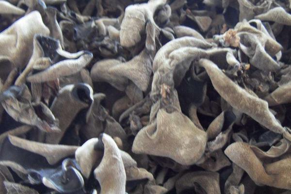 2018种黑木耳赚钱吗？黑木耳种植的利润与投资成本及前景预测