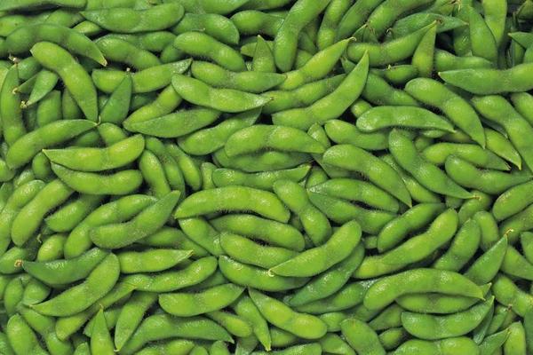 毛豆功效与作用及禁忌