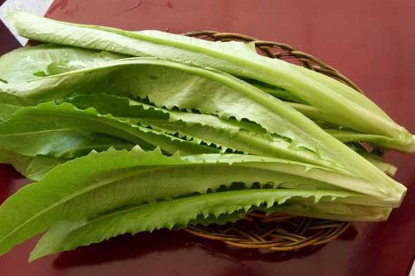 油麦菜的做法大全