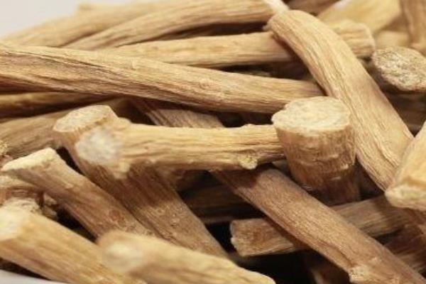 适合农村种植的药材品种