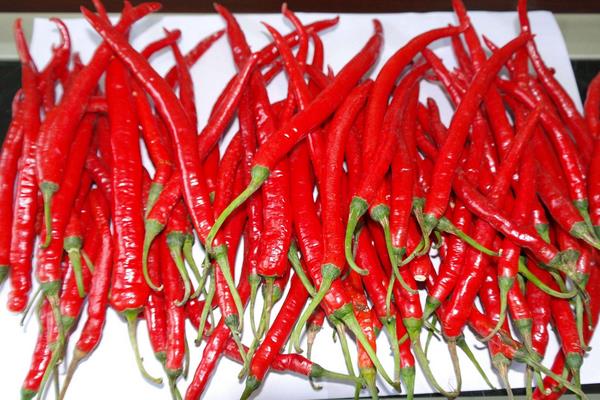 2015种辣椒赚钱吗?2015辣椒种植前景及市场价格分析
