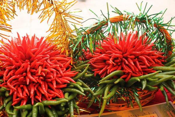 2015种辣椒赚钱吗?2015辣椒种植前景及市场价格分析