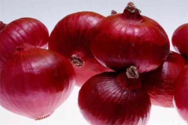 洋葱不能和什么一起吃