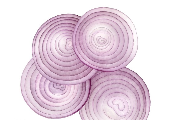 洋葱不能和什么一起吃