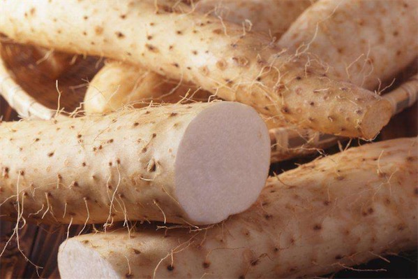 山药什么时候吃最好