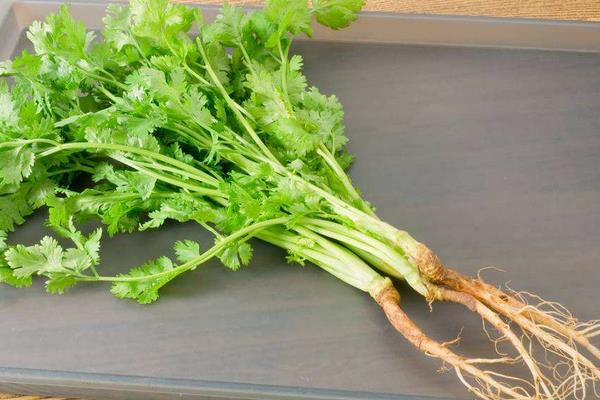 西兰花的根能吃吗