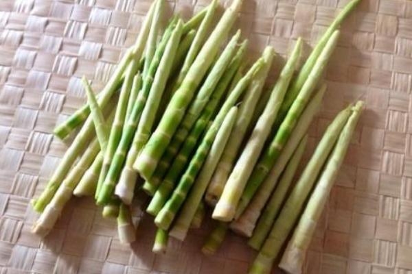 竹笋苦是怎么回事