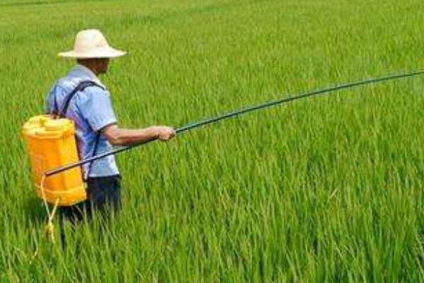 23个农村偏门创业致富点子,有没有适合您的?