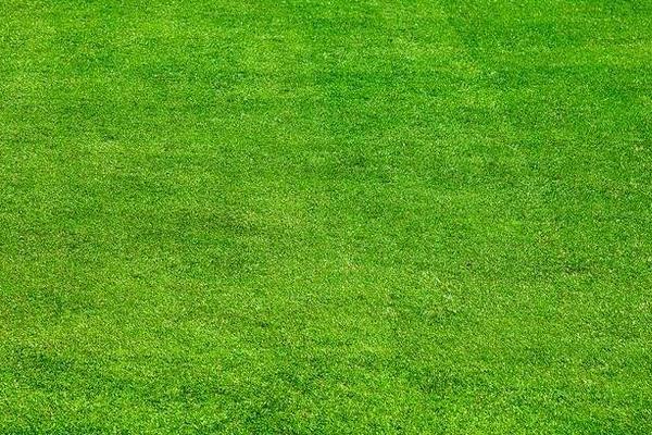 23个农村偏门创业致富点子,有没有适合您的?