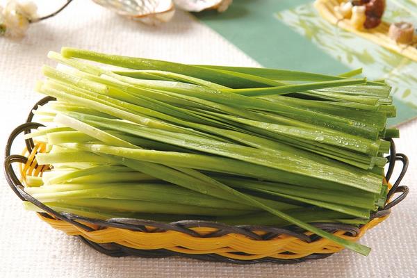 2015种韭菜赚钱吗?2015韭菜种植前景及市场价格分析