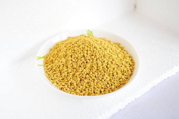 油菜花粉的功效与作用及禁忌