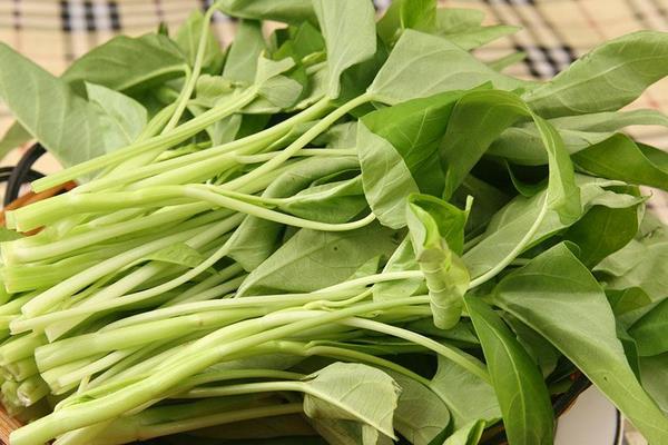 空心菜怎么才能彻底清洗干净?