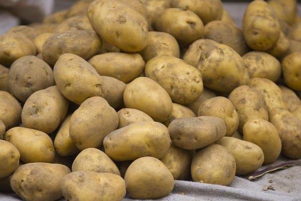 马铃薯可以去黑眼圈,是真的吗?