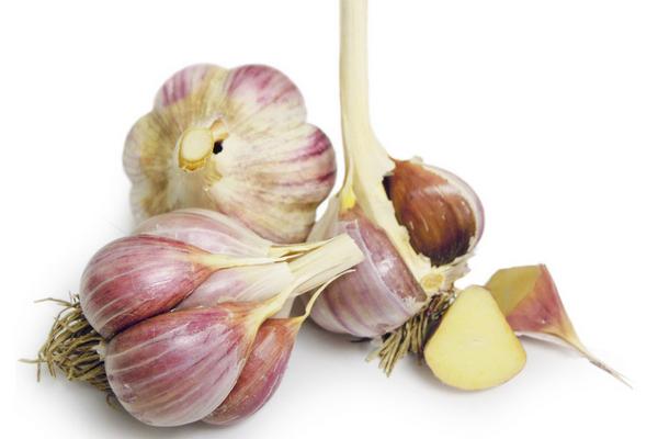 大蒜价格多少钱一斤