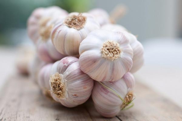 大蒜价格多少钱一斤