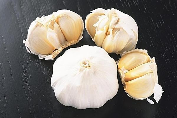 大蒜价格多少钱一斤