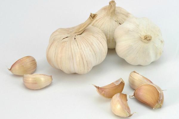 大蒜价格多少钱一斤