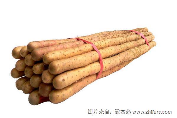 铁棍山药不能和什么一起吃