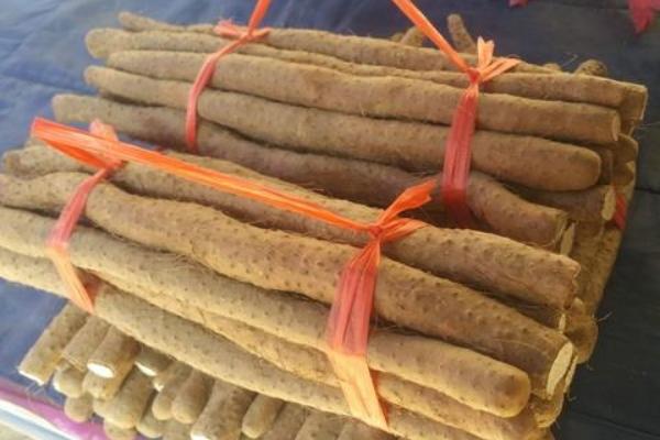 孕妇可以吃铁棍山药吗