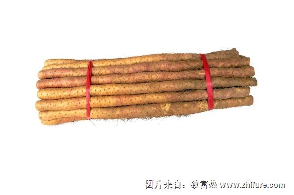 铁棍山药产地在哪里