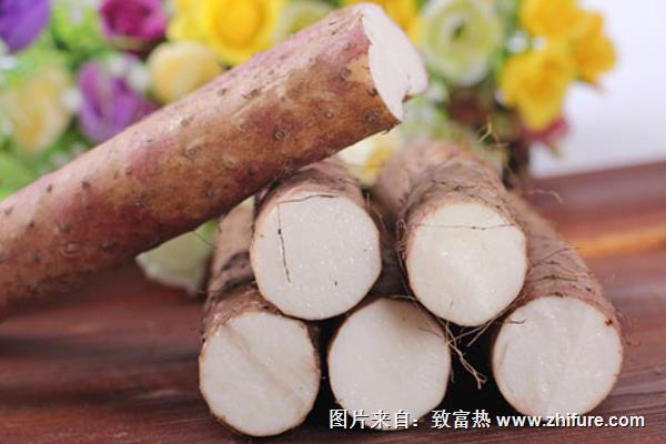 淮山药和铁棍山药的区别是什么