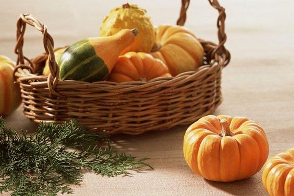 淮山药和铁棍山药的区别是什么