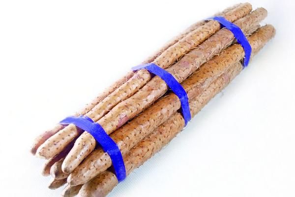 铁棍山药和普通山药有什么区别