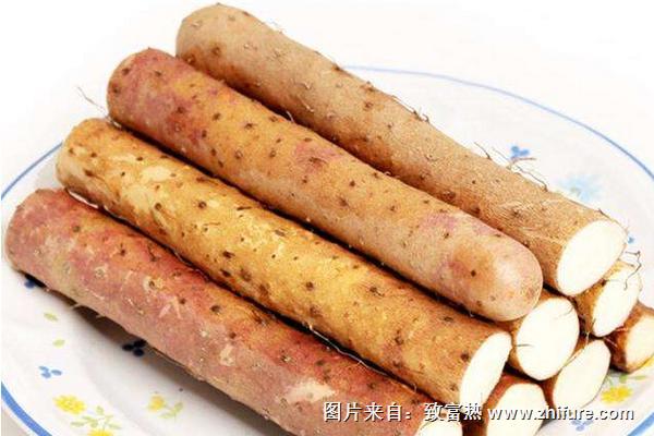 铁棍山药发芽还能吃吗