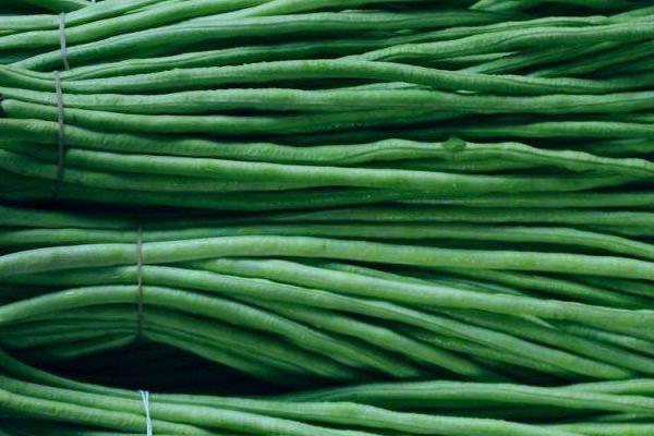 2018种豇豆赚钱吗?豇豆种植的利润与投资成本及前景预测