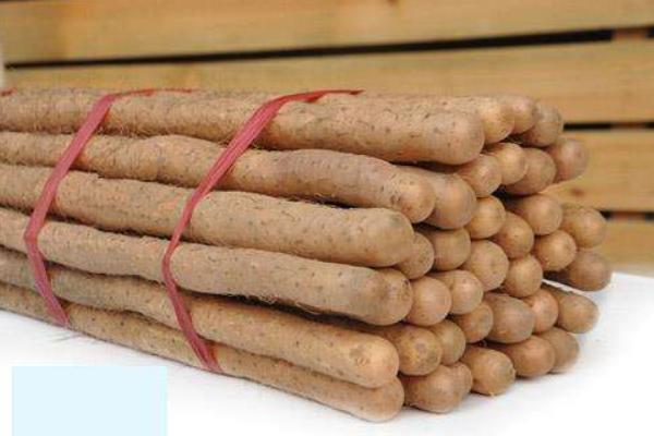 挑选铁棍山药的方法