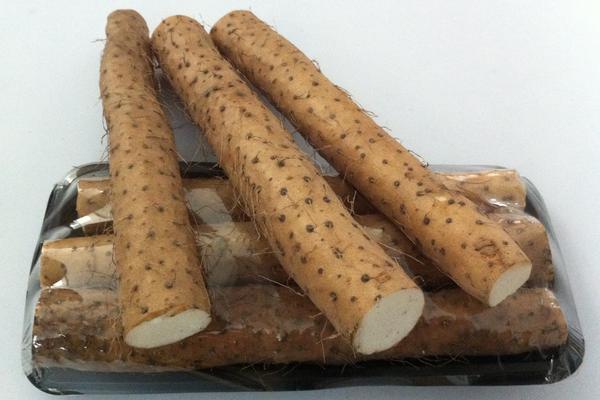 铁棍山药发芽还能吃吗